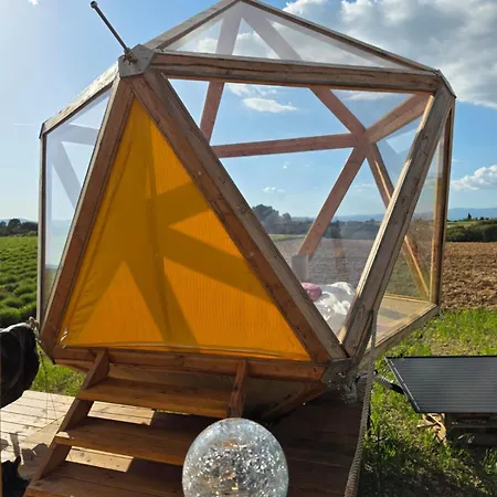 La Bulle Ico *