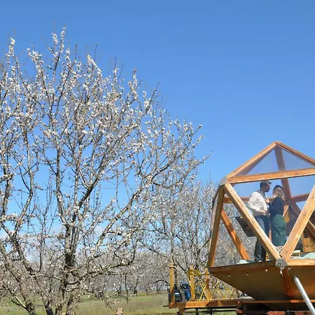 La Bulle Ico Luxusní stan
